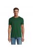Vert bouteille 264