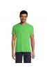 Lime 281