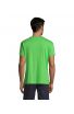 Lime 281